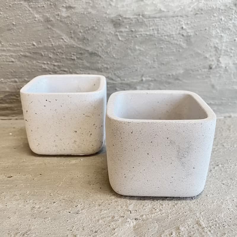 【荳荳多肉】【方型倒底泥盆】喬遷│送禮│升遷│多肉植物