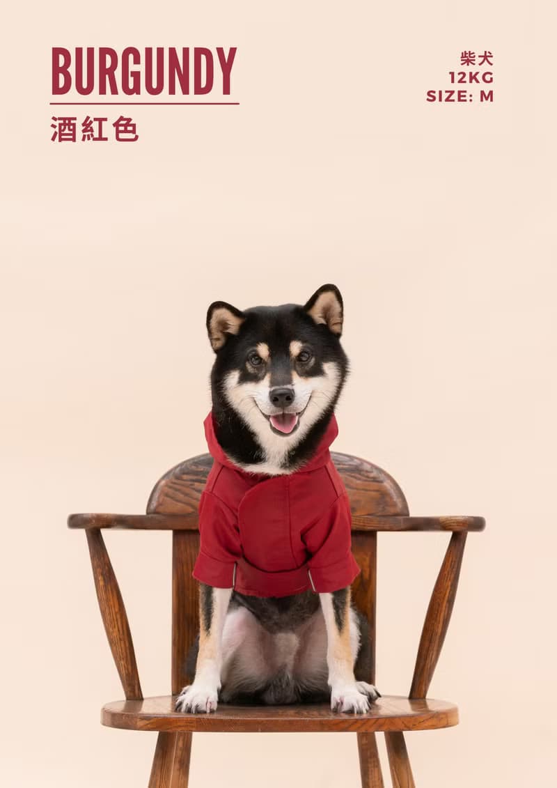 【PEHOM】 狗狗防潑水雨衣 | 可調節 魔術氈 牽繩孔 - 蛋黃色