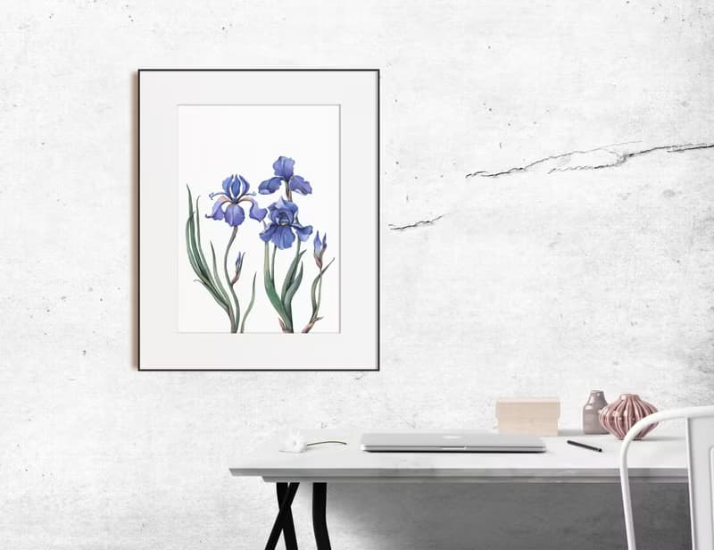 【數位】鳶尾花海報數位 JPEG 可列印牆面畫廊牆面藝術鳶尾花印刷品