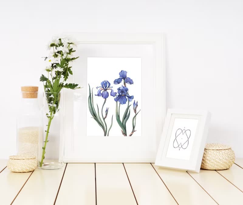 【數位】鳶尾花海報數位 JPEG 可列印牆面畫廊牆面藝術鳶尾花印刷品