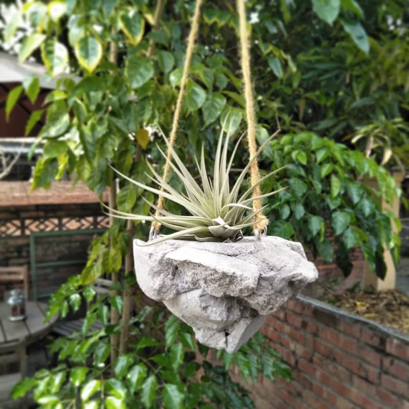 水泥漂浮吊盆