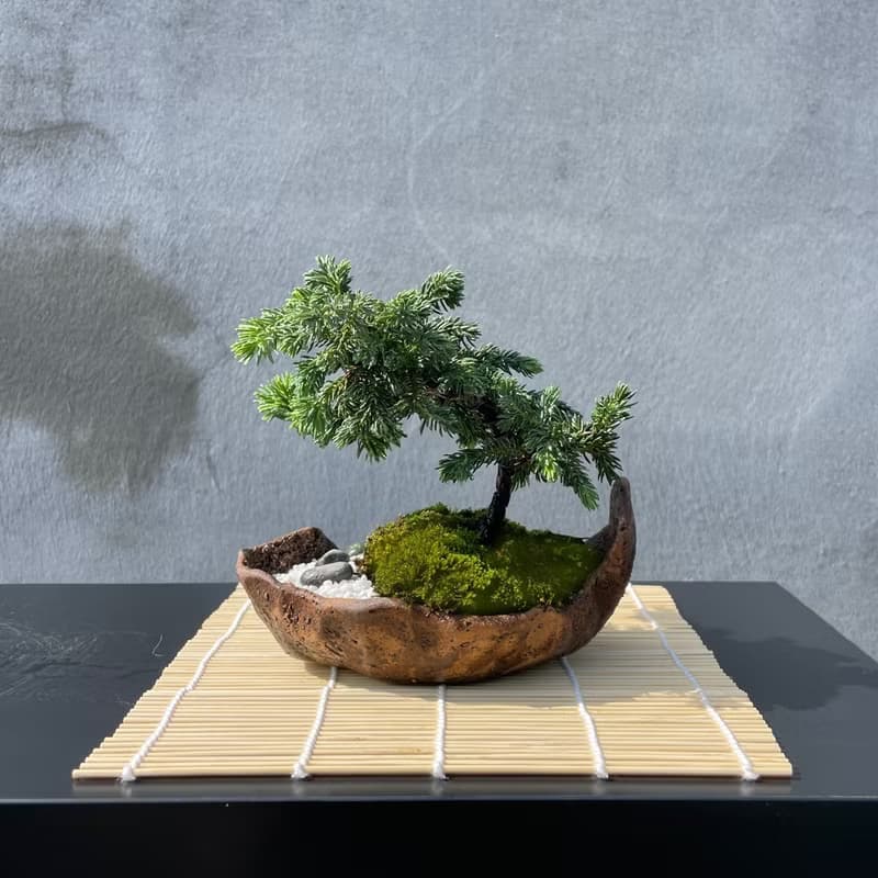 小品盆栽-日式庭院松組合17 送禮 開幕