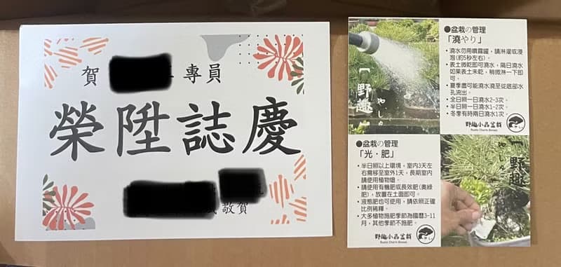 小品盆栽-日式庭院松組合17 送禮 開幕