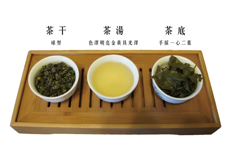 杉林溪青心烏龍 l 手摘茶葉 l 台灣茶