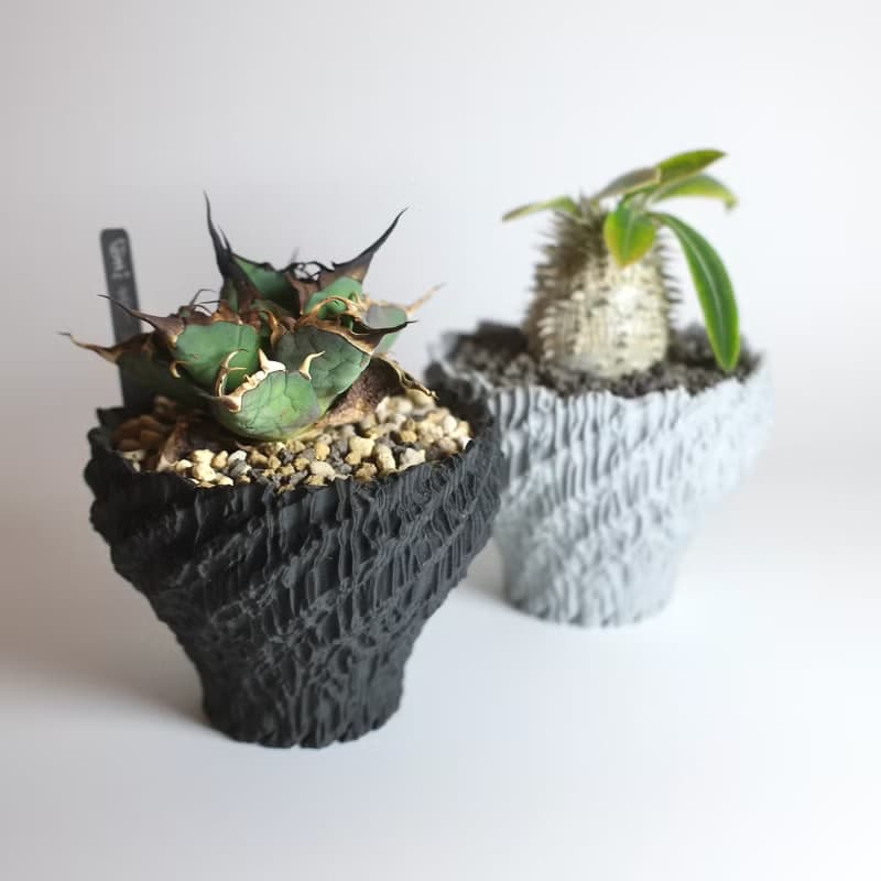 CBP002植木鉢 原創設計/3D列印/多肉塊根植物/盆器盆栽/送禮