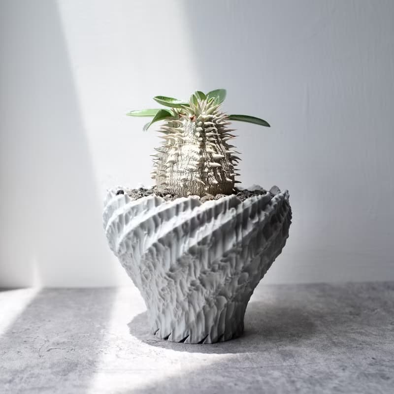 CBP002植木鉢 原創設計/3D列印/多肉塊根植物/盆器盆栽/送禮