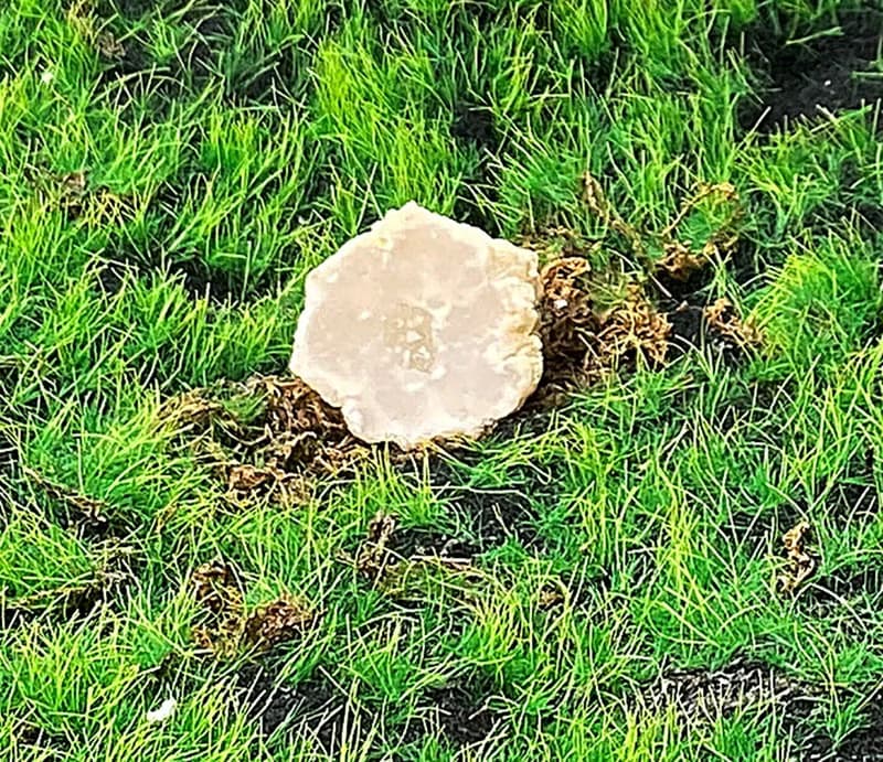 能量擺飾-瑪瑙可愛白晶洞開口笑 招財 療癒 開運 原礦 快速出貨