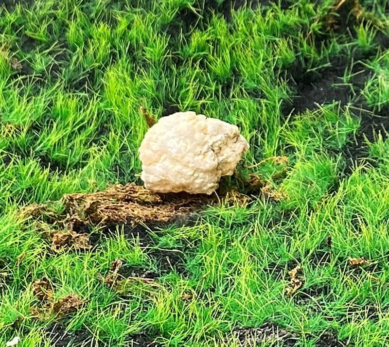 能量擺飾-瑪瑙可愛白晶洞開口笑 招財 療癒 開運 原礦 快速出貨