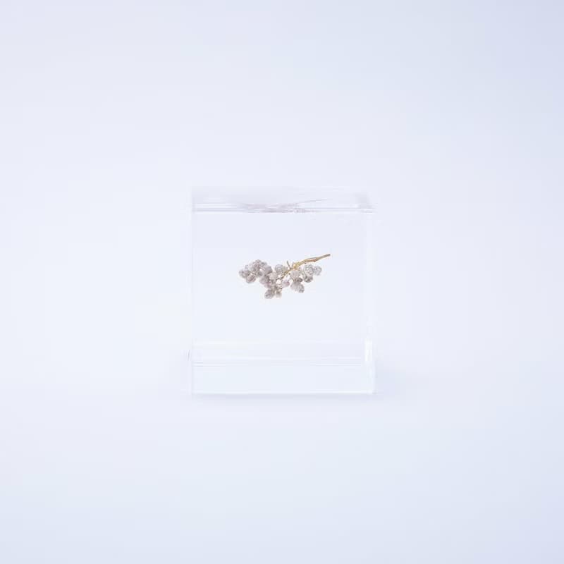 Sola cube 米香花立方塊_生活充實的每一天
