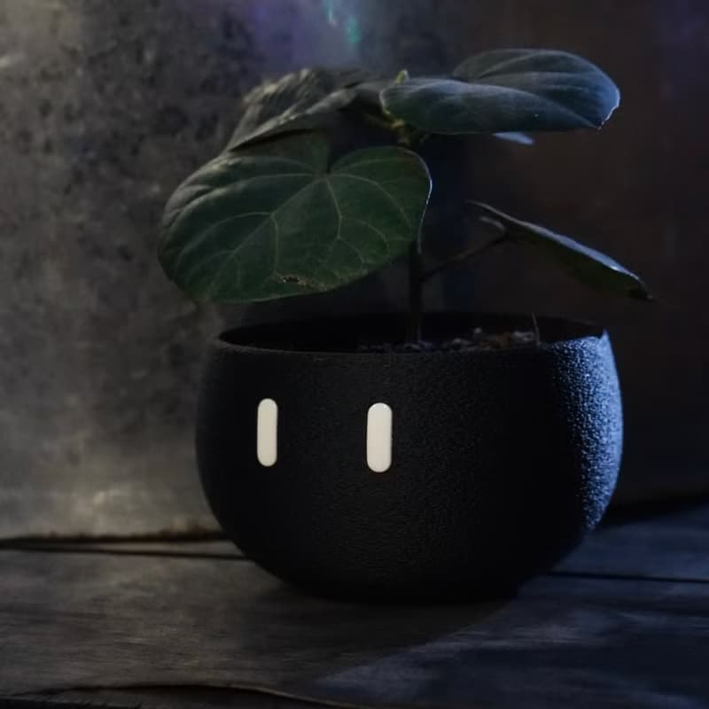 Mini_EMOO/盆栽/室內植物/多肉植物/盆器/植物/交換禮物/聖誕禮