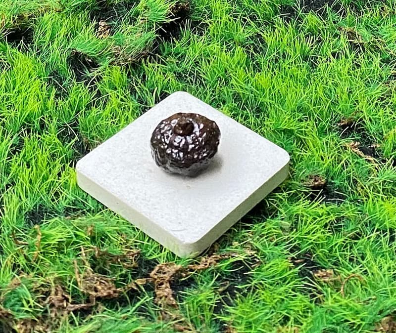 能量擺飾-精選天然埃及預言石可愛小南瓜造型原礦 快速出貨