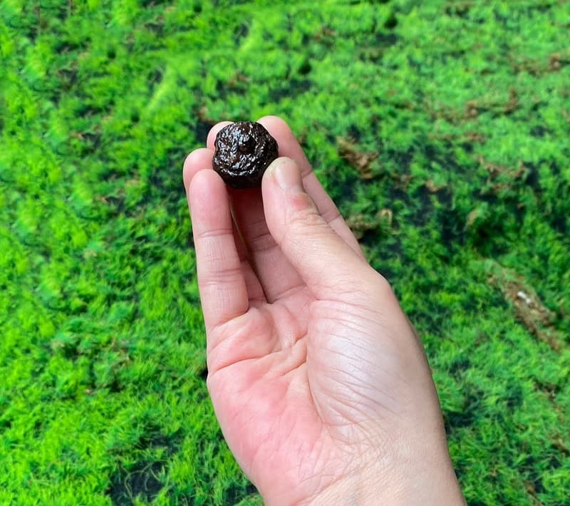 能量擺飾-精選天然埃及預言石可愛小南瓜造型原礦 快速出貨