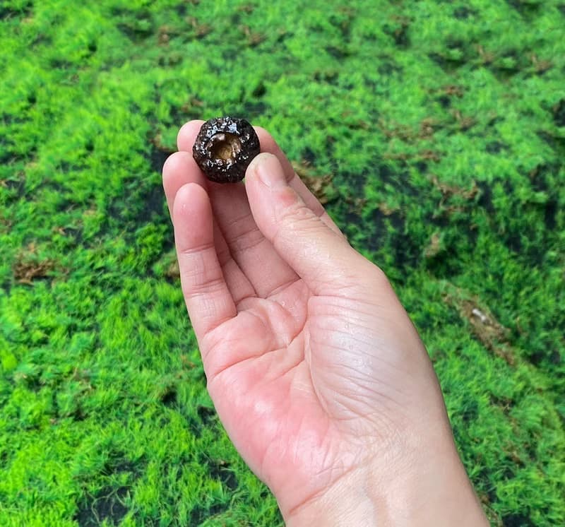 能量擺飾-精選天然埃及預言石可愛小南瓜造型原礦 快速出貨