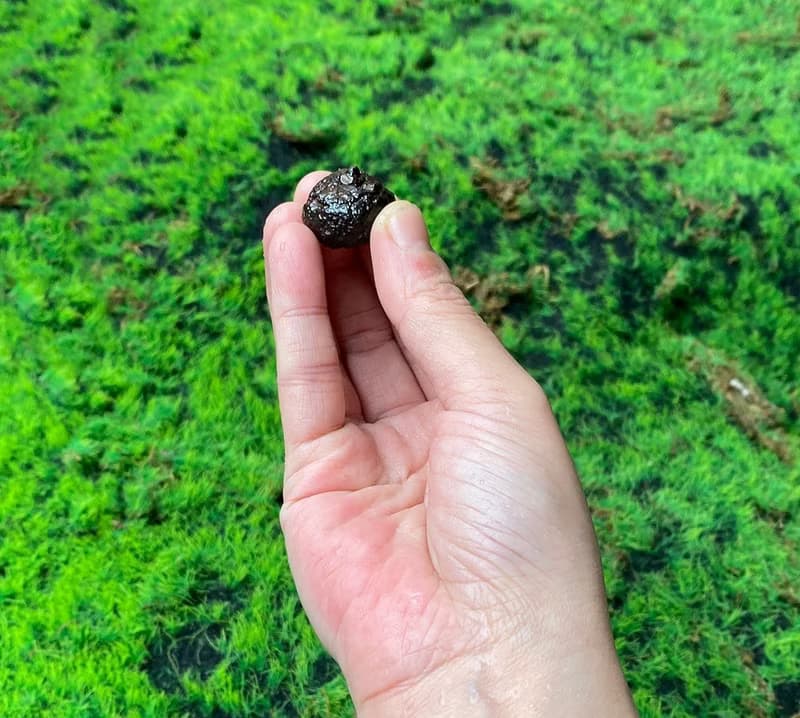 能量擺飾-精選天然埃及預言石可愛小南瓜造型原礦 快速出貨