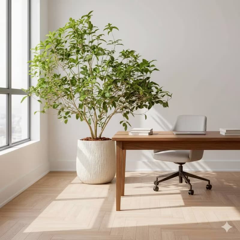 桂花樹 奶白色樹紋落地大盆栽 開幕花盆 觀葉植物 居家裝飾