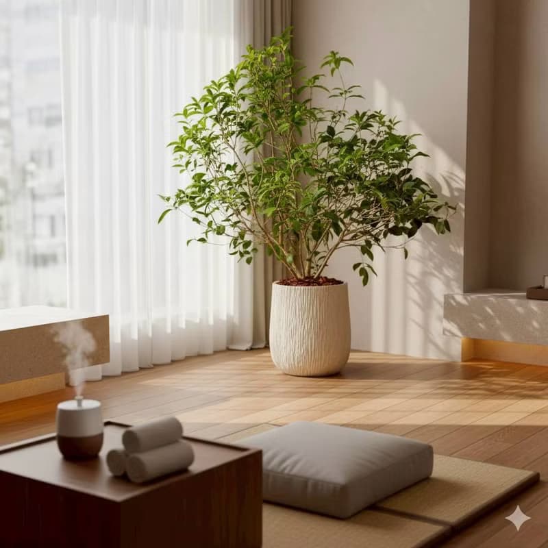 桂花樹 奶白色樹紋落地大盆栽 開幕花盆 觀葉植物 居家裝飾