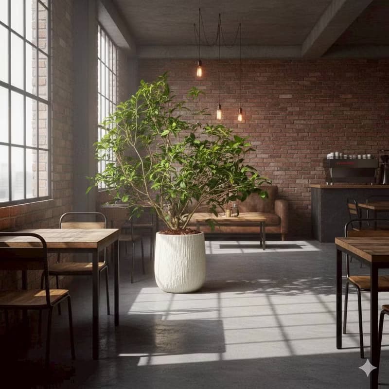 桂花樹 奶白色樹紋落地大盆栽 開幕花盆 觀葉植物 居家裝飾