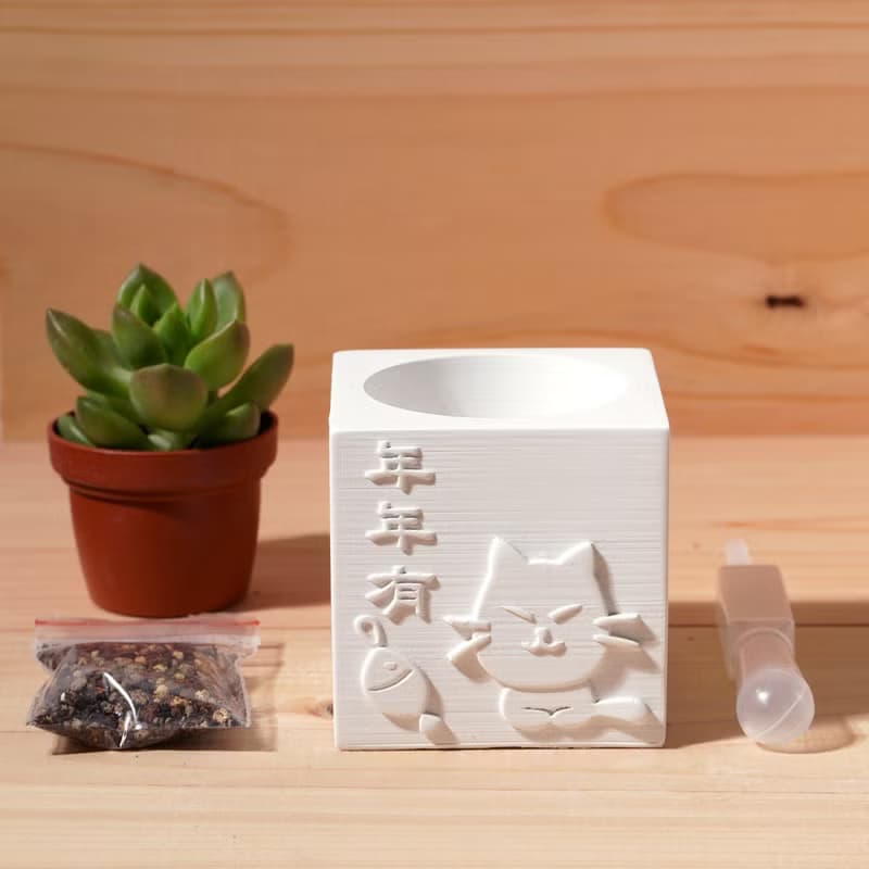 年年有餘 | 多肉植物水泥盆栽 | 可愛祝福 辦公室療癒小物