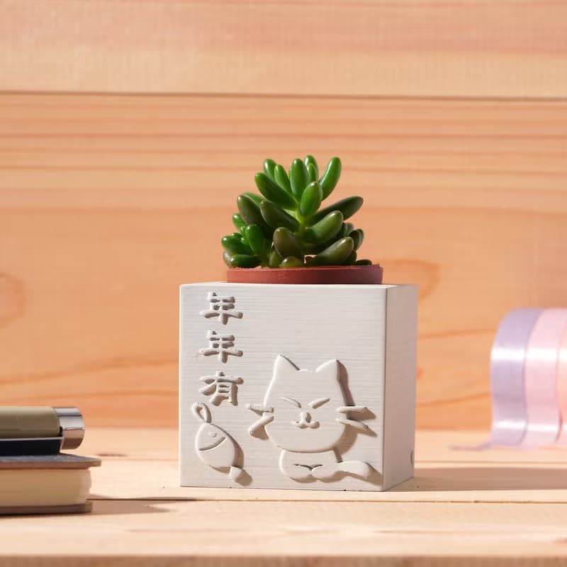年年有餘 | 多肉植物水泥盆栽 | 可愛祝福 辦公室療癒小物