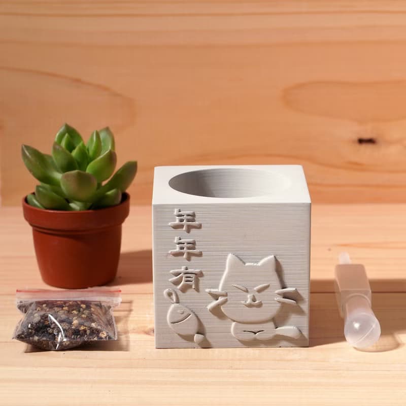 年年有餘 | 多肉植物水泥盆栽 | 可愛祝福 辦公室療癒小物