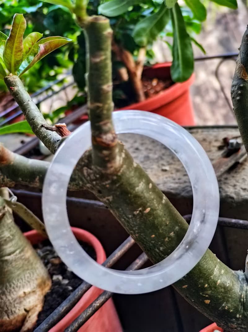 Miss feng天然石-天然摩根石手鐲