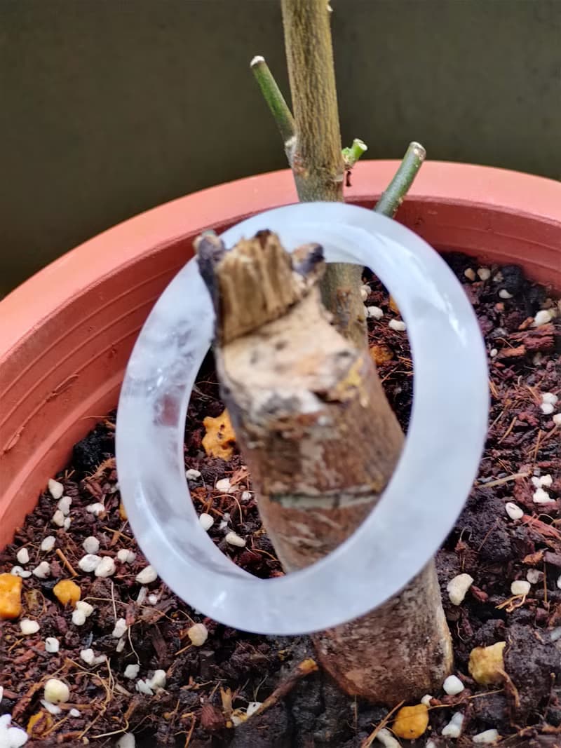 Miss feng天然石-天然摩根石手鐲