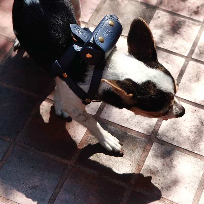 Pet waste bag dispenser, Poop bag holder, Dog Cat backpack, Soft genuine leather