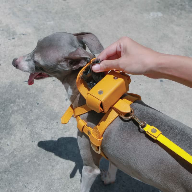 Pet waste bag dispenser, Poop bag holder, Dog Cat backpack, Soft genuine leather