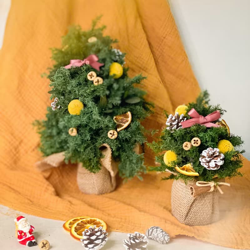 【在家體驗】 一起手作熹微晨光 x 不凋雪松聖誕樹手作DIY