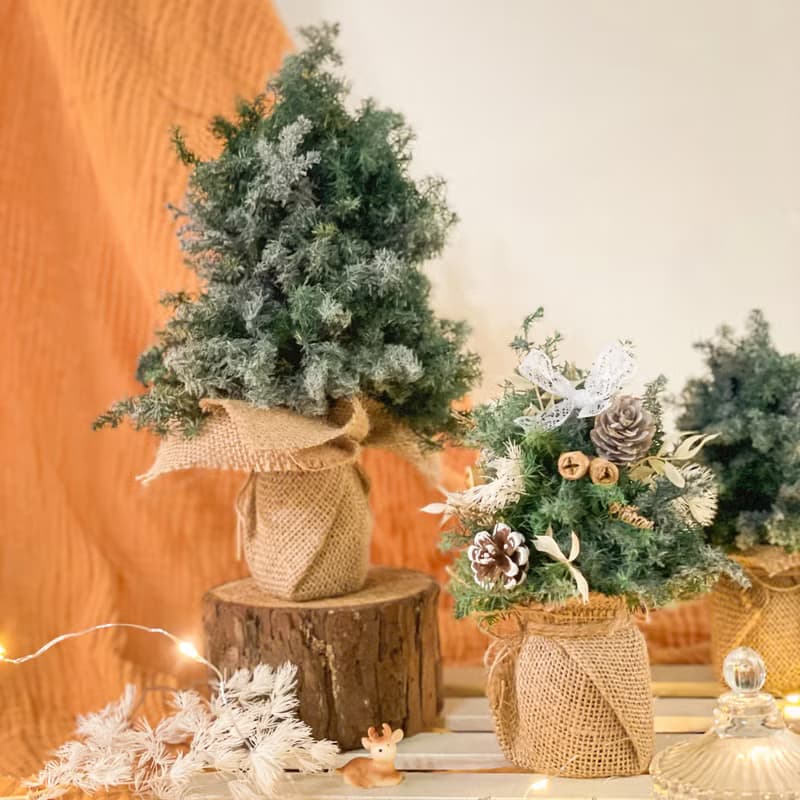 【在家體驗】 一起手作熹微晨光 x 不凋雪松聖誕樹手作DIY