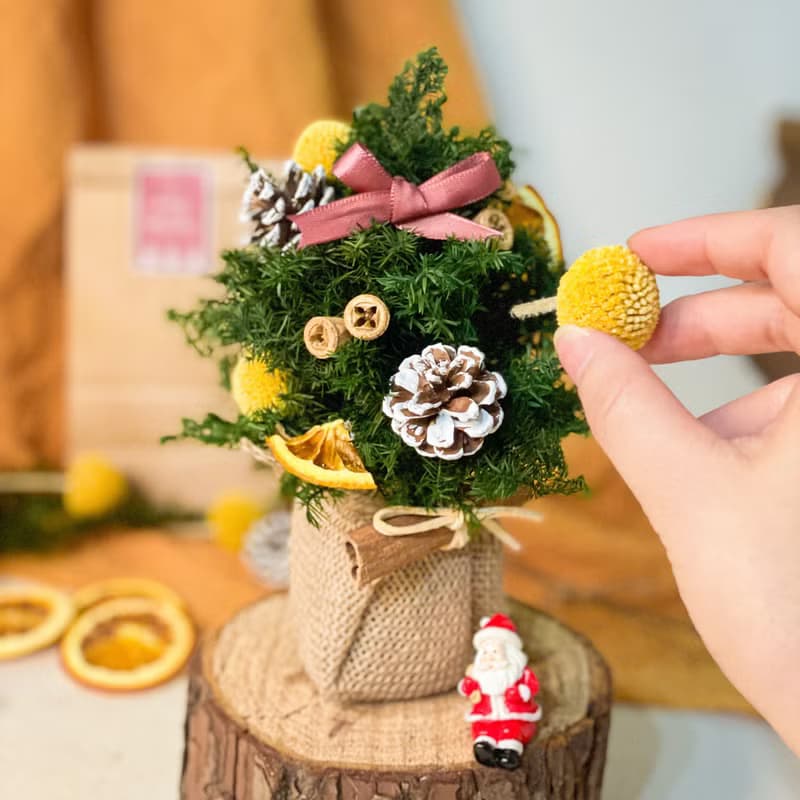 【在家體驗】 一起手作熹微晨光 x 不凋雪松聖誕樹手作DIY
