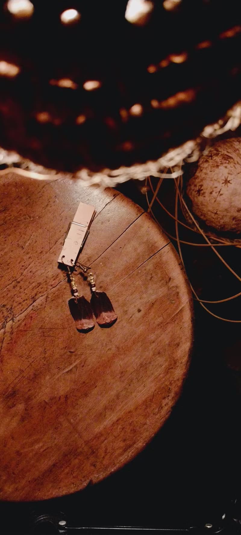 【Feather of pine】大地之籽。手工毬果鱗片創意耳環