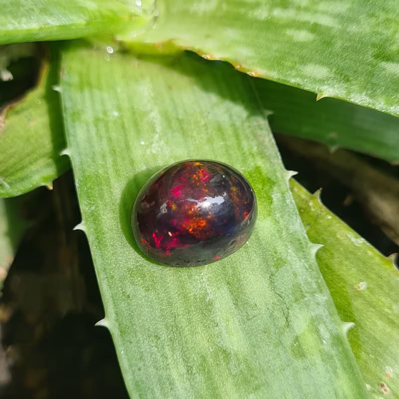 天然黑色埃塞俄比亞蛋白石尺寸 11×13×9 毫米重 7.50 克拉