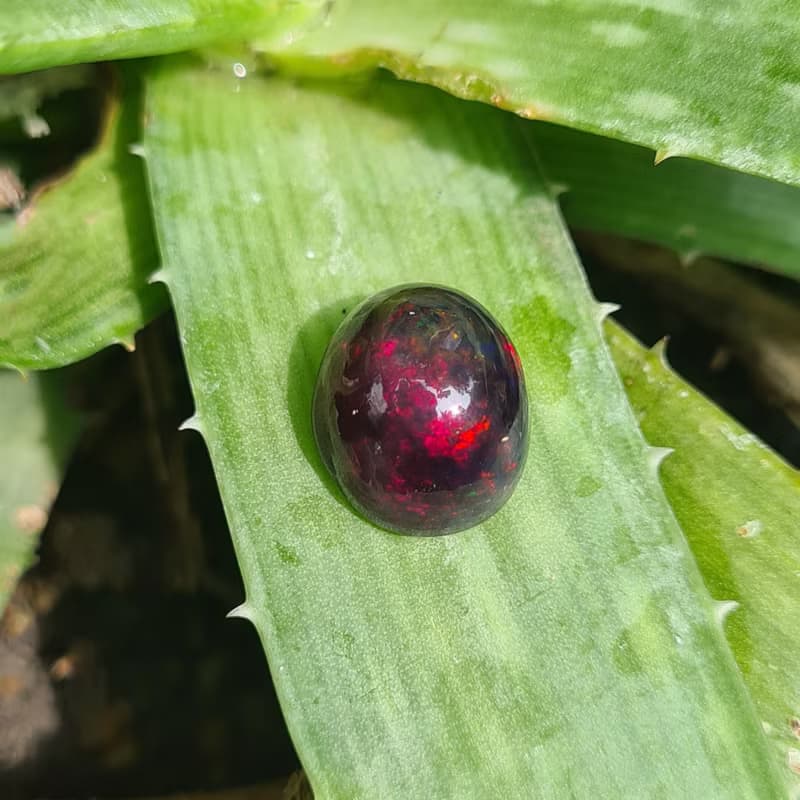 天然黑色埃塞俄比亞蛋白石尺寸 11×13×9 毫米重 7.50 克拉