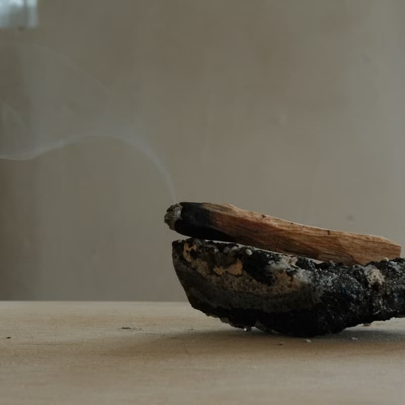 能量淨化 秘魯聖木條