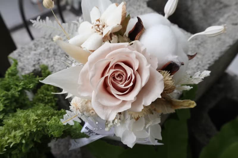 不凋玫瑰 \ 永生玫瑰 純白棉花 氣質奶白小盆花