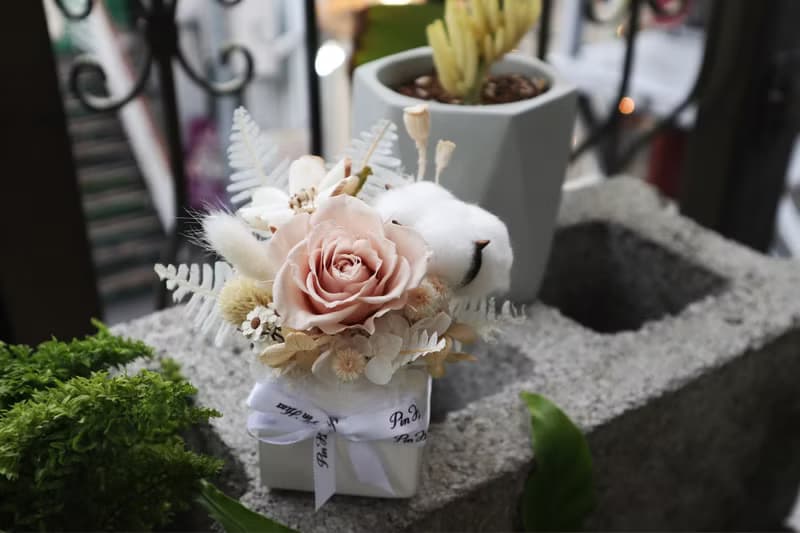 不凋玫瑰 \ 永生玫瑰 純白棉花 氣質奶白小盆花