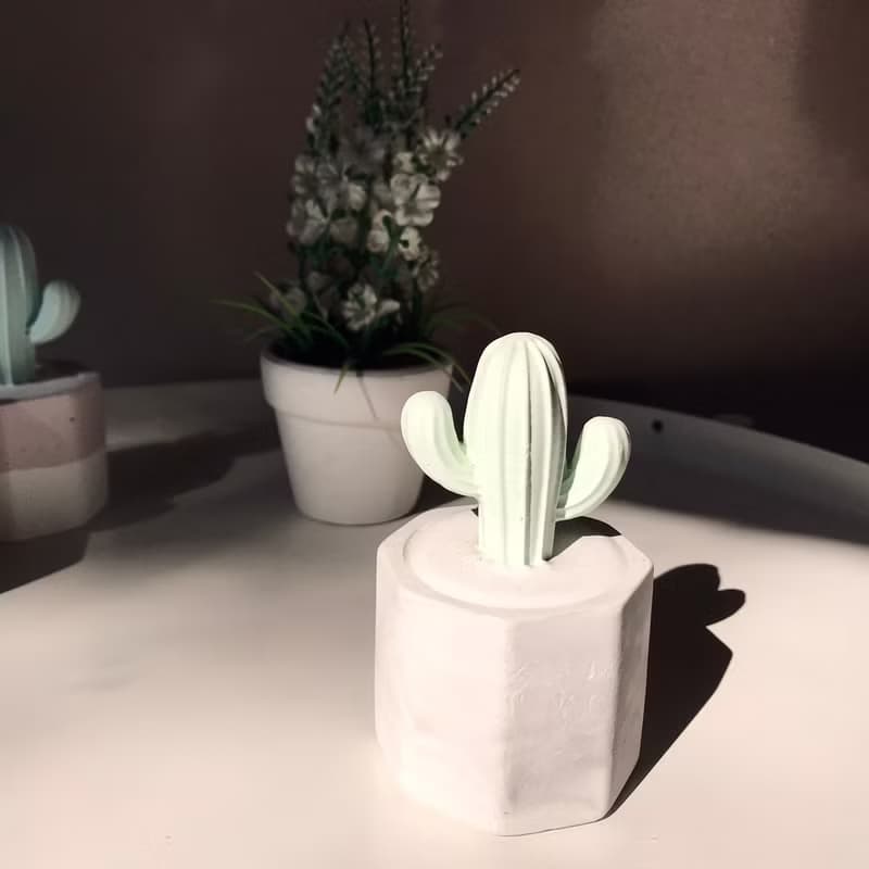 【MINI LIFE x 氛享日記】仙人掌造型擴香石-大款