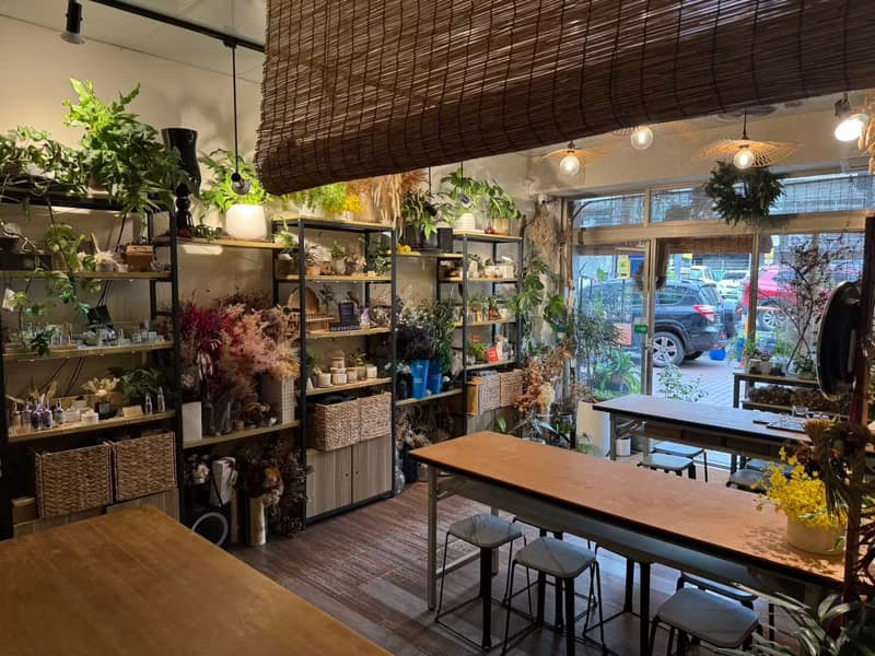 【體驗】【侏儸紀多肉植物】盆栽+擴香石