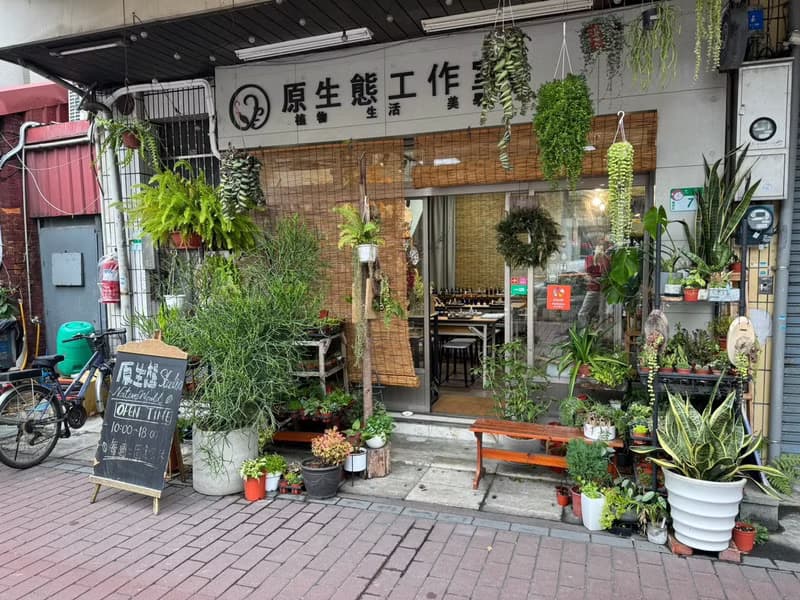【體驗】【侏儸紀多肉植物】盆栽+擴香石