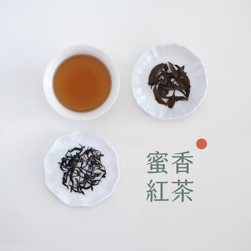 冷泡茶選 | 茶包18入【清新甘純暢飲】