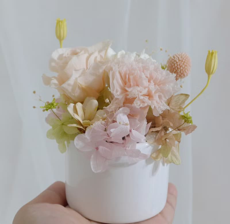 母節親永生康乃馨盆花  結婚捧花永生乾燥花情人節生日禮物花束七