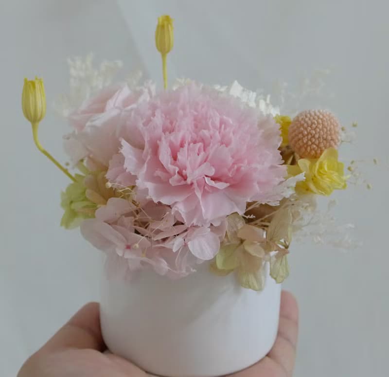 母節親永生康乃馨盆花  結婚捧花永生乾燥花情人節生日禮物花束七