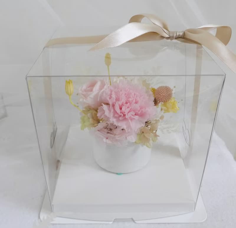 母節親永生康乃馨盆花  結婚捧花永生乾燥花情人節生日禮物花束七