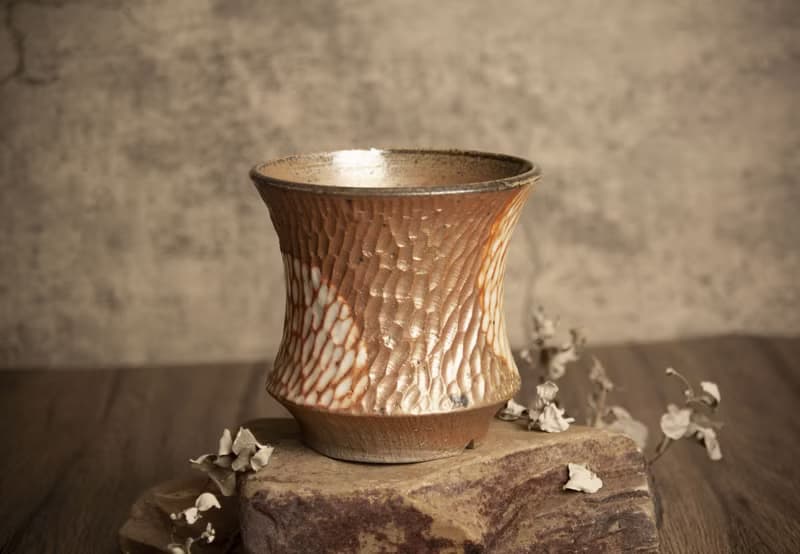 大盆∣柴燒盆缽∣手刻紋理、局部志野釉∣塊根多肉植物、手工作品