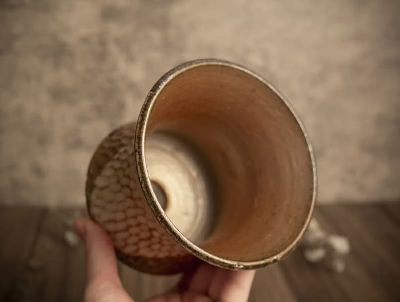 大盆∣柴燒盆缽∣手刻紋理、局部志野釉∣塊根多肉植物、手工作品