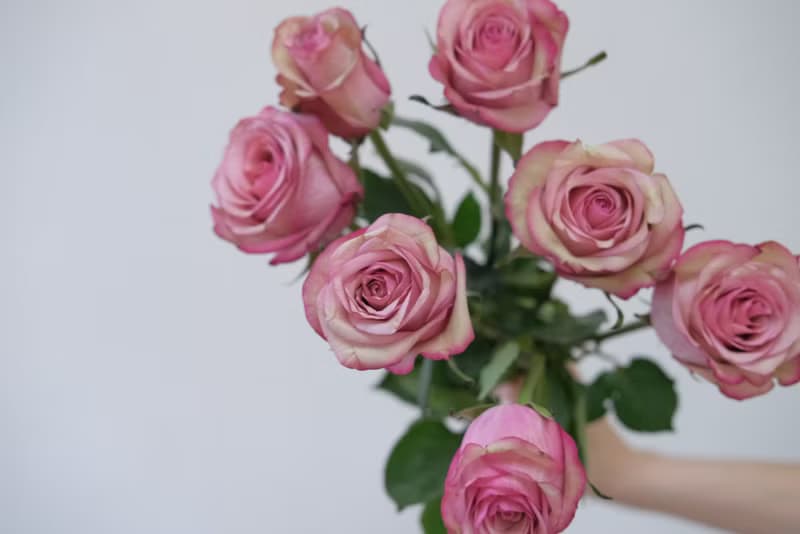 玫瑰花束  韓式花束  生日花束 女友禮物 求婚花束