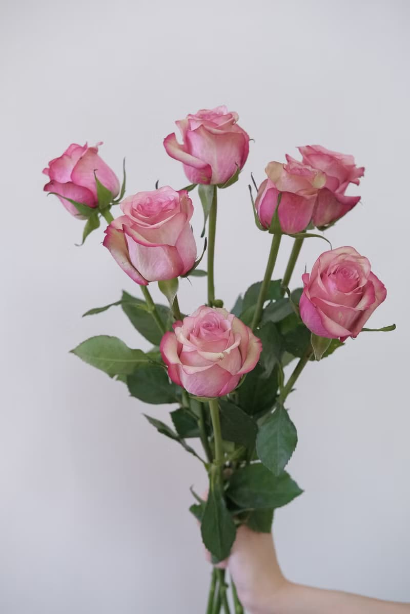 玫瑰花束  韓式花束  生日花束 女友禮物 求婚花束