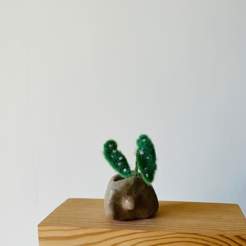 |哈哈羊毛氈| 星點海棠植物盆栽 水泥盆|手捏陶盆 (2款) / 019