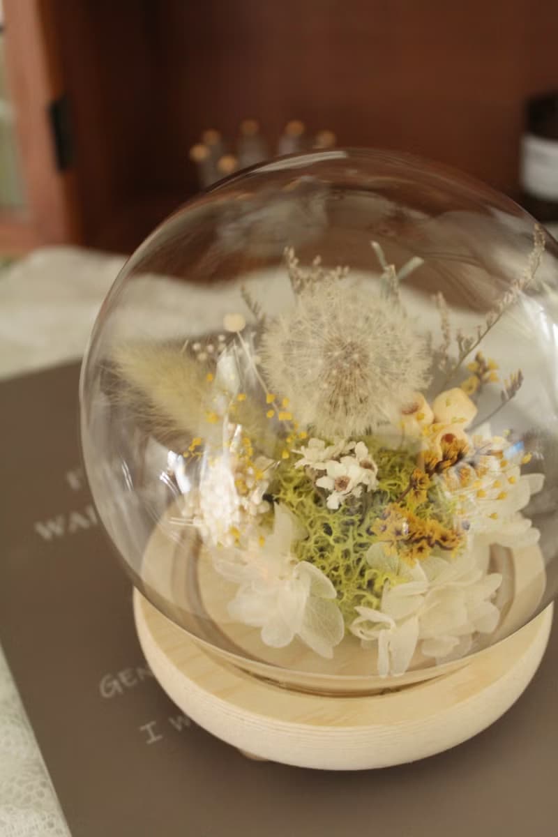 蒲公英 永生花禮 玻璃盅 不凋花